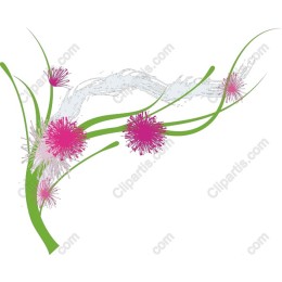Floral Whimsy