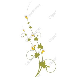 Delicate Flowering Vine