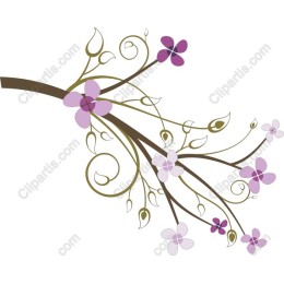 Elegant Floral