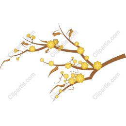 Yellow Blossom Branch
