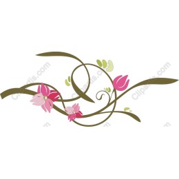 Elegant Floral