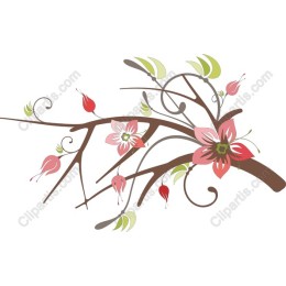 Elegant Floral Branch