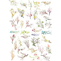 Floral Bundle - 40+ Unique