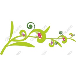 Vibrant Floral Vine Clipart