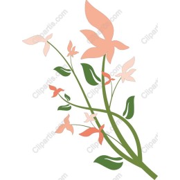 Elegant Floral