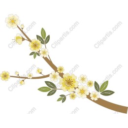 Floral Blossom