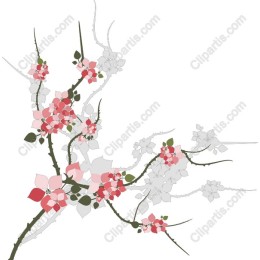 Elegant Floral