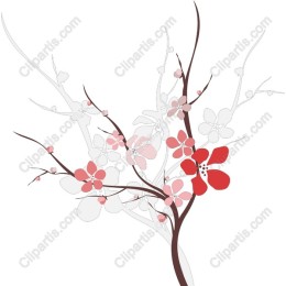 Cherry Blossom
