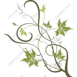 Elegant Green Vine