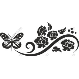 Butterfly and Floral