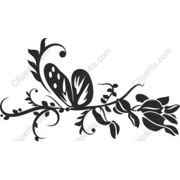 Elegant Butterfly Vine