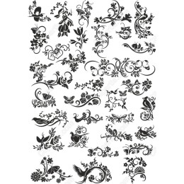 Floral & Fauna Set - Bundle