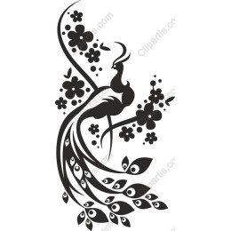 Elegant Peacock Floral