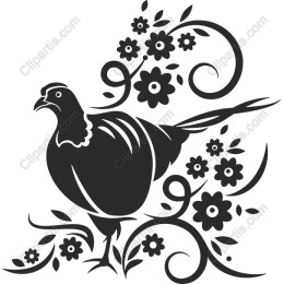 Elegant Black Bird