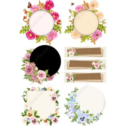 Floral Clipart Set
