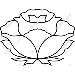 Elegant Rose