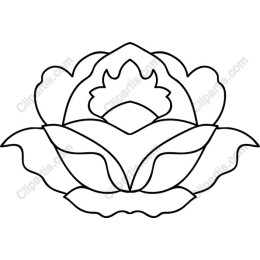 Elegant Lotus Flower