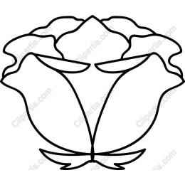 Stylized Floral
