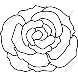 Elegant Rose Drawing