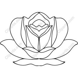 Elegant Lotus Flower