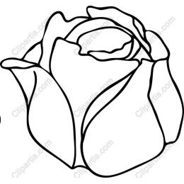 Rose Outline