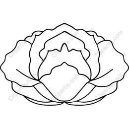 Elegant Flower