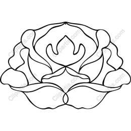 Elegant Lotus Flower Drawing