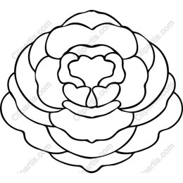 Elegant Flower