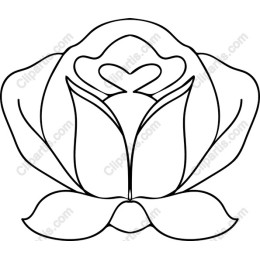 Elegant Flower Motif