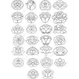 Elegant Rose Collection