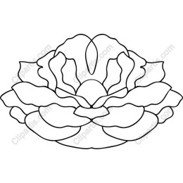 Elegant Lotus Flower