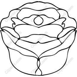 Minimalist Elegant Rose