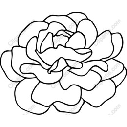 Floral Outline