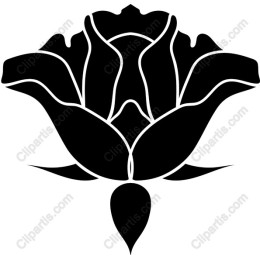 Black Rose