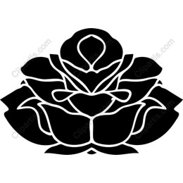 Elegant Layered Flower