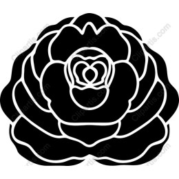 Elegant Black Rose