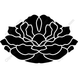 Black Lotus Flower