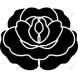 Elegant Black and White Rose