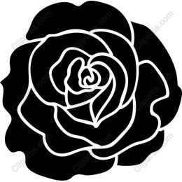 Black Rose