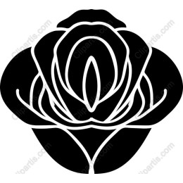 Elegant Black and White Rose