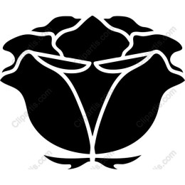 Elegant Black Rose
