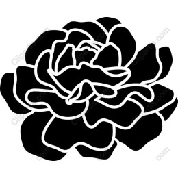 Elegant Black Rose
