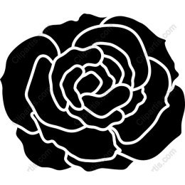 Elegant Black Rose