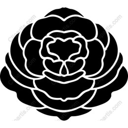 Elegant Flower - able