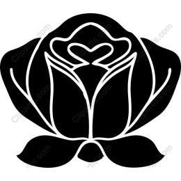 Elegant Black and White Rose