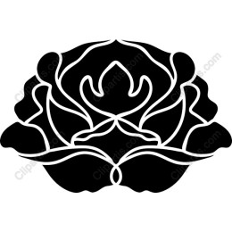 Black Rose