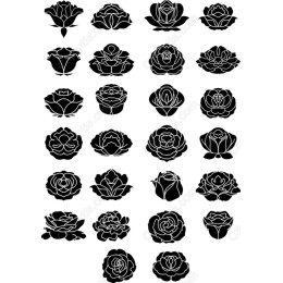 Elegant Floral Bundle - 25 Unique