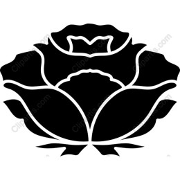 Black Rose