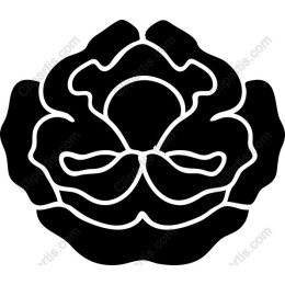 Elegant Black Rose