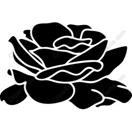 Black Rose